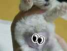 겨울