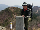 진해군항제
