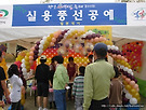 천안흥타령축제10..