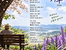 舞草(무초)