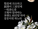 李兆年(고려 충혜..