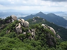 산정 좌판은 오아..