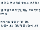 꽃은 어떻게 피는가?..