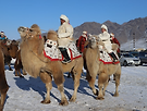 몽골 낙타축제