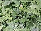 민초산행