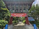 일요법회