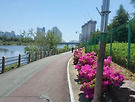 250504 안락동-수변공..