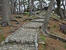 松亭 竹島공원