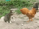 이런일이....까불면..