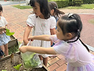 상추뜯기) 가정에..