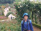 富川トタンドン薔薇園..