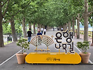 은행나무길~