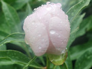 25년5월 10일 토..