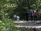 제4망루까지 산행