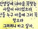 25. 5. 19. 월요일