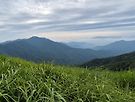 6월정기산행(장안산)