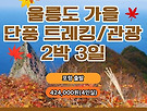 2026 울릉도 가을..
