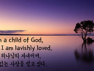 시심쌤 영상