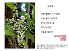장독대
