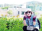 자라섬 ㅡ사진 퍼..