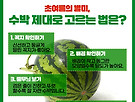 오늘의 사색