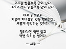 오늘의 사색