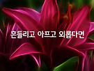 흔들리고 아프고 ..