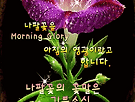 화요일 아침 편지..