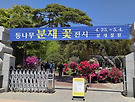1004섬분재정원