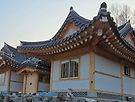 단양 영춘 40평 조립에..