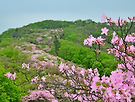 경기 남양주 축령..