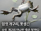 못생기면