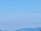 몇장 올립니당