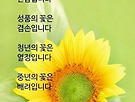 7월4일 홍천 수타..