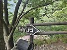봉화청량산