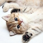 카페 프로필 이미지