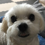 카페 프로필 이미지