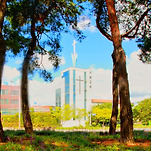 카페 프로필 이미지