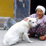 카페 프로필 이미지