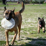 카페 프로필 이미지