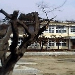 카페 프로필 이미지