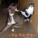 카페 프로필 이미지