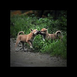 카페 프로필 이미지