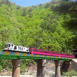 카페 프로필 이미지