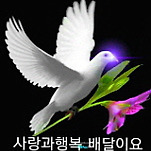 카페 프로필 이미지