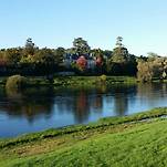 카페 프로필 이미지