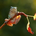 카페 프로필 이미지