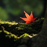 카페 프로필 이미지