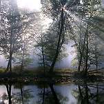 카페 프로필 이미지