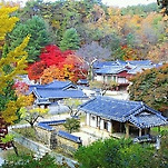 카페 프로필 이미지